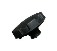 Bouchon de vase d'expansion pour Bmw X5 E70 et Lci (05/2006-06/2013) - Essence