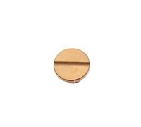 Bouchon de vidange Centrale vapeur 500582773 - 38299
