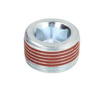 Bouchon de vidange ELRING 587.100