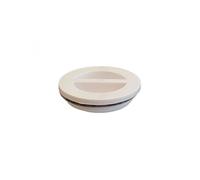 Hayward SP1022B Bouchon de Chasse d'eau MPT 3,8 cm