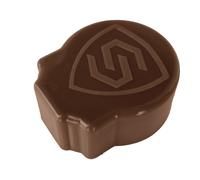 Bouchon d'origine MARRON CHOCOLAT Securipool barrière piscine