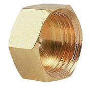 Bouchon laiton à visser - F 1/2 - 300G - Thermador