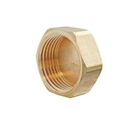 SOMATHERM FOR YOU, Bouchon Femelle 3/4" en laiton brut - Type 300 - Idéal pour isoler canalisation - Résistant à la corrosion - Étanchéité avec joint plat (non fourni)