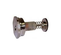 Bouchon magnétique Chaffoteaux 60024800