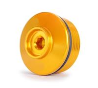 Bouchon Remplissage D'huile M34 1.5 Modèle Rallye Exclusif Pour G310R R1200GS R 1200 GS ADV R1250GS HP R1200S R1200R RS R1250R G310 R Clé pour ouverture bouchon d'huile(Or)