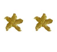 Boucles d’oreilles gothiques unisexes Pentagramme acier Boucles d’oreilles Style européen et américain Personnalisé Mode Stud Boucles d’oreilles Miss Girls Trip Accessoires de mariage cadeaux pour