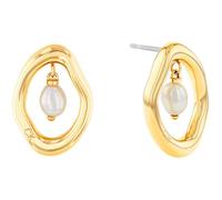 Boucles D'Oreille - Acier Or - Calvin Klein - 35000562