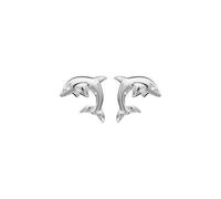 Boucles d'oreille tige argent dauphins