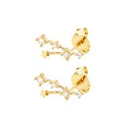 Boucles D'Oreilles À Tige En Argent Sterling 925 pour Femmes, Signe Du Taureau, 12 Constellations Du Zodiaque, avec Zircone Cubique, Bijoux Cadeaux pour Femmes, Filles et Filles