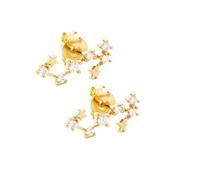 Boucles D'Oreilles À Tige En Argent Sterling 925 pour Femmes, Signe Du Verseau, 12 Constellations Du Zodiaque, avec Zircone Cubique, Bijoux Cadeaux pour Femmes, Filles et Filles
