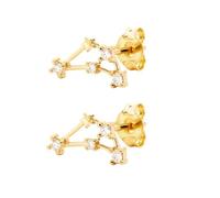 Boucles D'Oreilles À Tige En Argent Sterling 925 pour Femmes, Signe Du Zodiaque Capricorne, 12 Constellations, avec Zircone Cubique, Bijoux Cadeaux pour Femmes, Filles et Filles