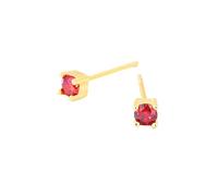 Boucles D'Oreilles À Tige En Argent Sterling pour Femmes et Filles, Mini Boucles D'Oreilles Dormeuses En Argent S925 avec Zircon Rouge De Janvier et Pierre De Naissance, Bijoux Astrologique 12 Horo