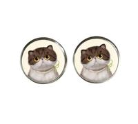 Boucles d'oreilles à tige en forme de chat mignon pour femme - Cabachon en verre - Brincos Perola - Art photo - Boucles d'oreilles rondes - Bijoux pour femme, nan