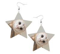 Boucles d'oreilles amusantes en forme de chouette pour femme, boucles d'oreilles pendantes en forme d'étoile étincelante, bijoux tendance pour soirée, One Size, Cuir