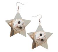 Boucles d'oreilles amusantes en forme de chouette pour femme, boucles d'oreilles pendantes en forme d'étoile étincelante, bijoux tendance pour soirée, One Size, Cuir