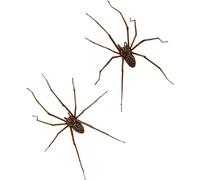 Boucles D'oreilles Araignée Géante Pour Femmes Hommes - Réalistes Effrayantes Clous Costume Cosplay Fournitures De Fête Noël Halloween Cadeaux Rave Y2K Grunge Punk (2 pièces)