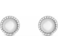 Boucles d'oreilles Boucles d'oreilles Daniel Wellington Collection Argent - femme