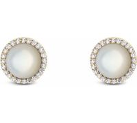 Boucles d'oreilles Boucles d'oreilles Daniel Wellington Collection Or - femme