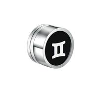 Boucles d'oreilles en acier titane douze constellations absorbant le fer et goutte à goutte d'huile pour homme, Métal