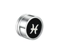 Boucles d'oreilles en acier titane douze constellations absorbant le fer et goutte à goutte d'huile pour homme, Métal