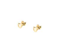 Boucles d'oreilles en argent 925/1000