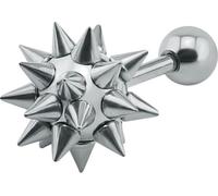 Boucles d'oreilles épines-argent KP15317