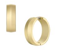 Boucles d'oreilles Femme FOSSIL JF04539710 Acier d'Or