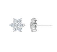 Boucles d'oreilles Flocon de Neige en Argent 925 avec Zircon (Argent)