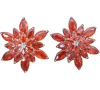 Boucles d'oreilles Foi-Rouge KP28219