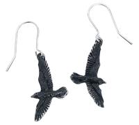 Alchemy Gothic Boucles d'oreilles Corbeau Noir pour Femme – Étain