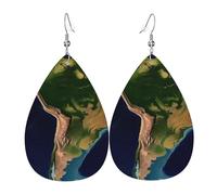 Boucles d'oreilles pendantes double face en similicuir avec image satellite en forme de goutte d'Amérique du Sud, bijoux légers, cadeaux pour femmes