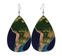 Boucles d'oreilles pendantes double face en similicuir avec image satellite en forme de goutte d'Amérique du Sud, bijoux légers, cadeaux pour femmes