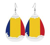 Boucles d'oreilles pendantes en cuir avec motif carte du drapeau de la Roumanie, bijoux réversibles avec crochets plaqués argent