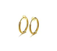 Boucles d'oreilles pour Dames 2 Ensembles de Fausses Boucles d'oreilles percées Femme Boucle d'oreille en Acier Inoxydable Anneau de Nez Mode Simple Hommes Titane Acier Petit Clip