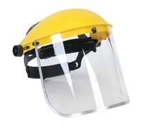 Bouclier Facial Complet Sealey SSP11E
