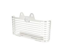 Bouclier Radiateur Protection Calandre Radiateur Et Réservoir D'eau Moto For BMW R9T R For NINE T 2021 Protecteur Calandre(Silver)
