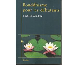 Bouddhisme Pour Les Debutants
