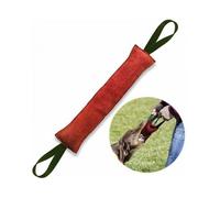 Boudin Chien Indestructible de 40 cm avec 2 Anses, Jouet pour Chien en Tuyaux De Lance À Incendie, Boudin À Mordre Extra Étiquette