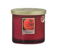 Bougie 2 mèches Ellipse Dahlia Royal -