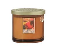 Bougie 2 mèches ellipse pomme du verger -