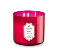 Bougie 3 Mèches Baja Cactus Blossom Bath and Body Works