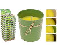 Bougie anti-moustiques Ø 9,5 x 9,6 cm 165 g Citronela