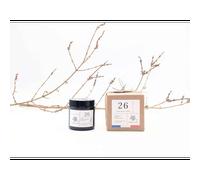 Bougie apothicaire 100g mon beau sapin 26