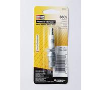 CHAMPION Spark plug POWERSPORT 8809/CCH88091