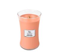 Bougie Clesidre Grande Large Jar Manuka Nectar Woodwick