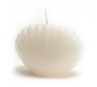 Bougie coquillage crème (lot de 8) - Amadeus