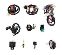 Bougie D'Allumage 1 Ensemble Faisceau Câblage Électrique Complet pour Moto ATV 50cc 70cc 90cc 110cc 125cc, Démarrage Électrique Chinois Bobine D'allumage