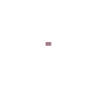 Bougie d'allumage 900 mm four 810930124