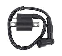 Bougie D'Allumage Bobine D'allumage pour Raptor pour Timberwolf 250 pour Blaster pour Moto 4 pour Big pour Bear350 pour TTR 225 230 pour Kodiak 400 Bobine D'allumage