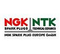 Bougie d'allumage NGK 3951, 1 pièce